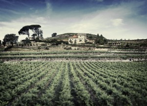 Vizhoja PAZO