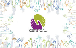 Nueva web de Ceavigal. www.ceavigal.es