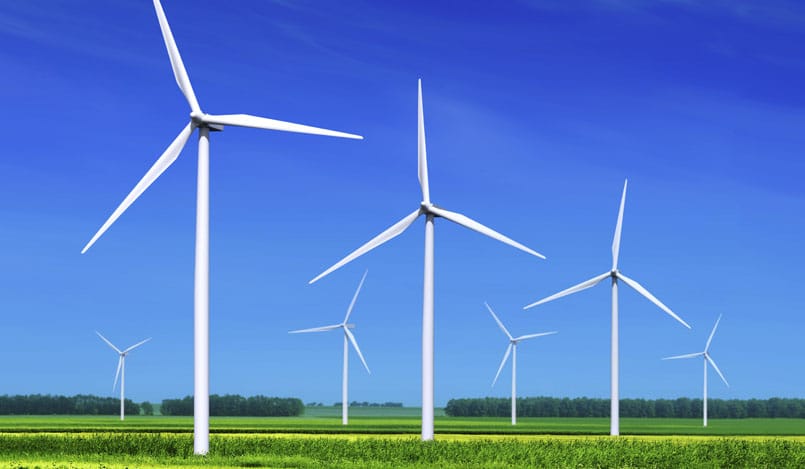 Forestalia arrasa en la subasta de renovables: se adjudica 1.200 MW