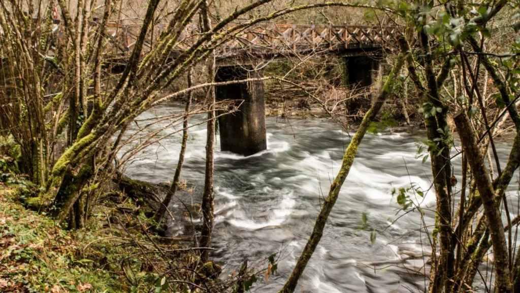 Puente y cauce rodeados de árboles en Fragas do Eume, fotografía de archivo de 2019